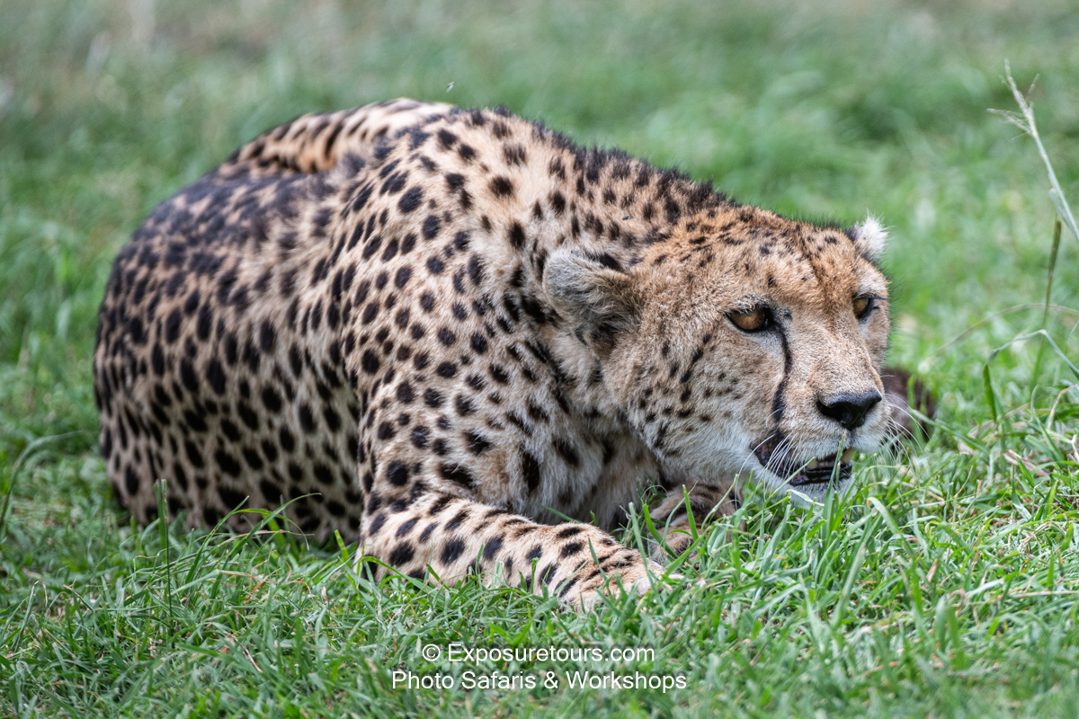 Exposuretours_DSC9772.jpg