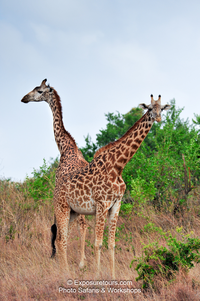 ExposureTours_k2_ooa_ntc_8469.jpg