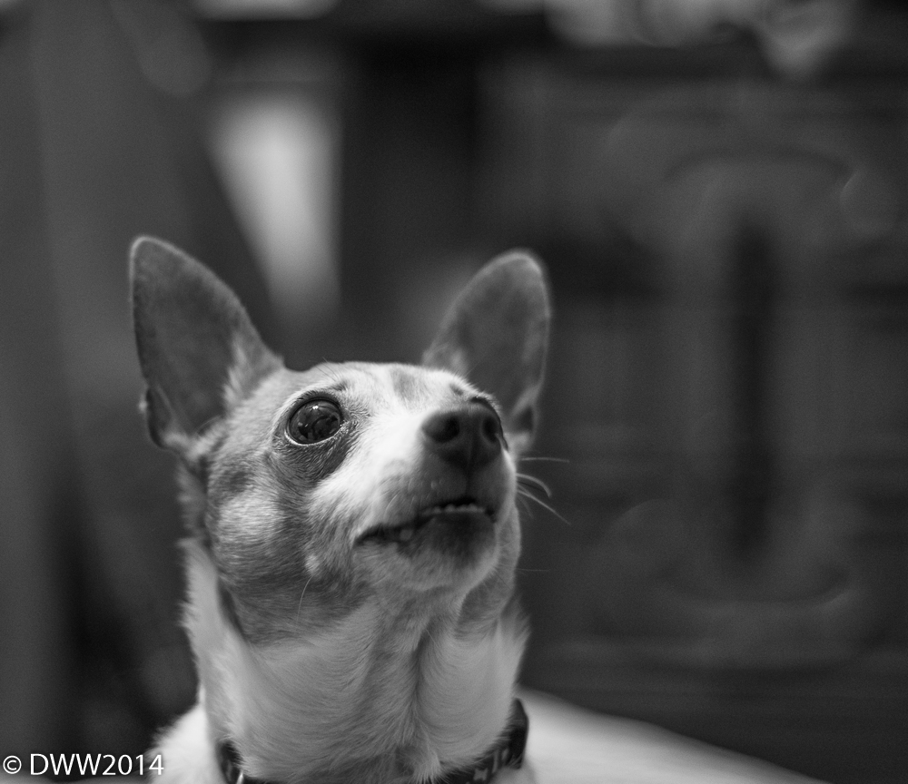 Extreme Focus (1 of 1).jpg