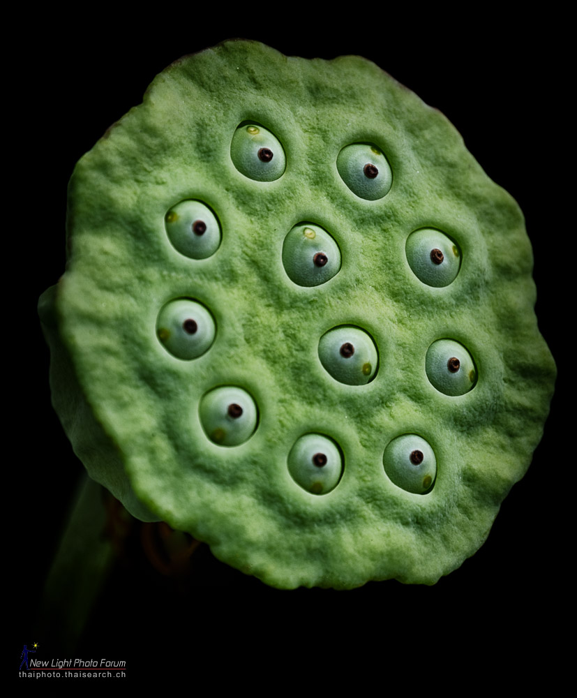 eyes-1.jpg