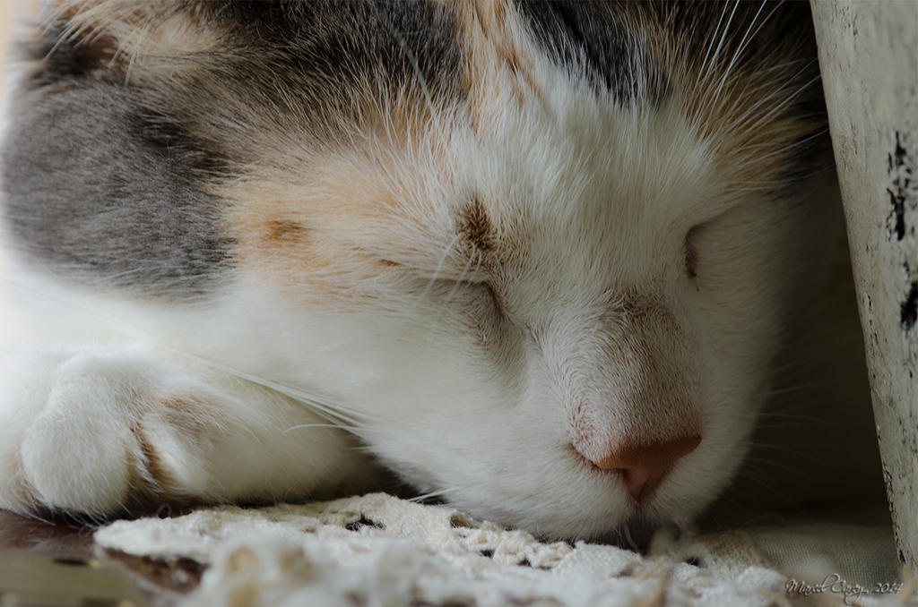 eyes closed.jpg