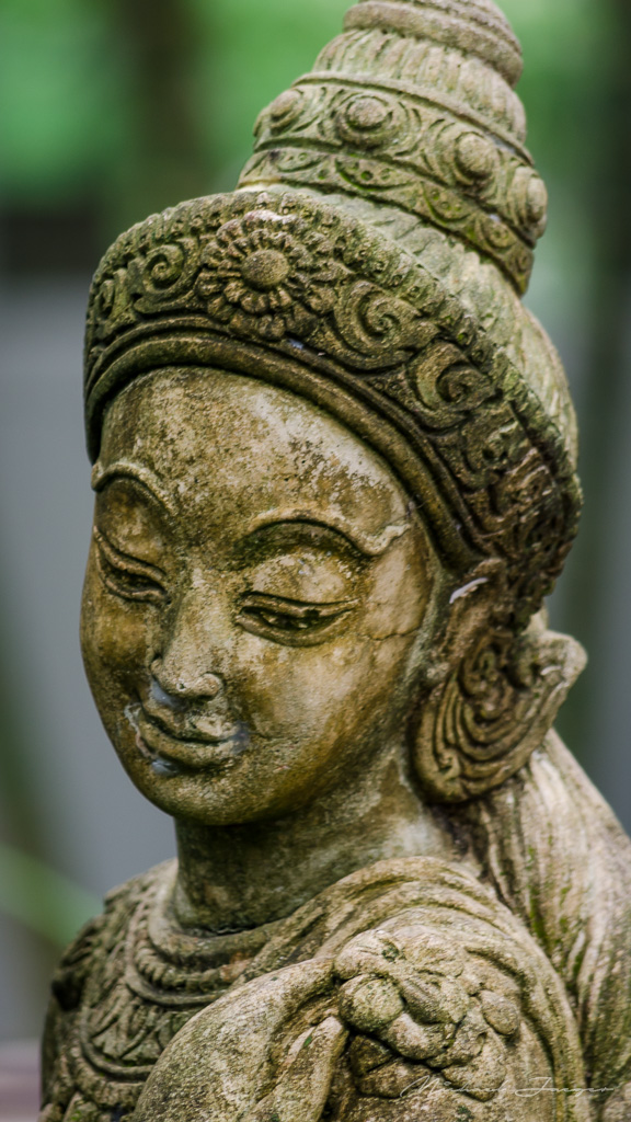 face-1.jpg