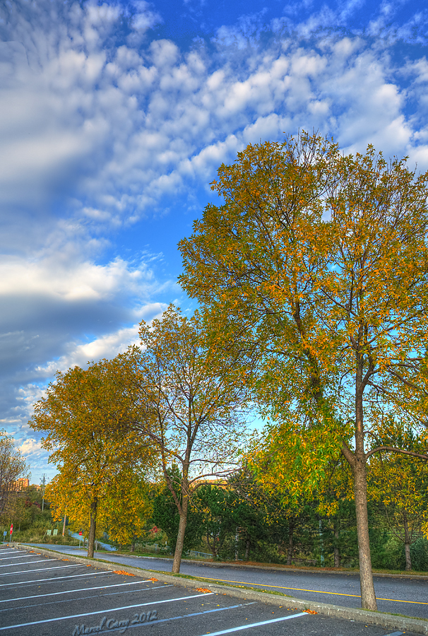 fall afternoon clouds.jpg