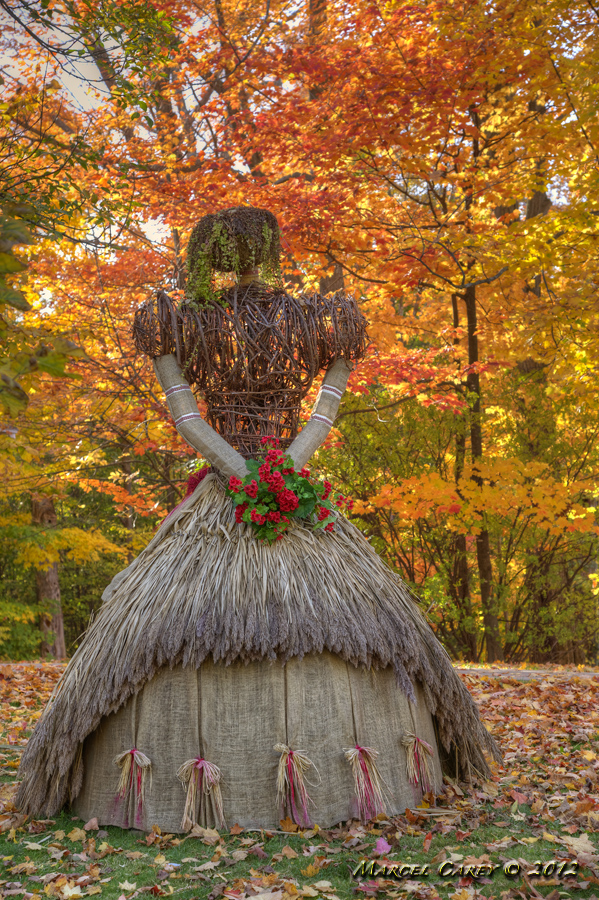 fall arrangement.jpg