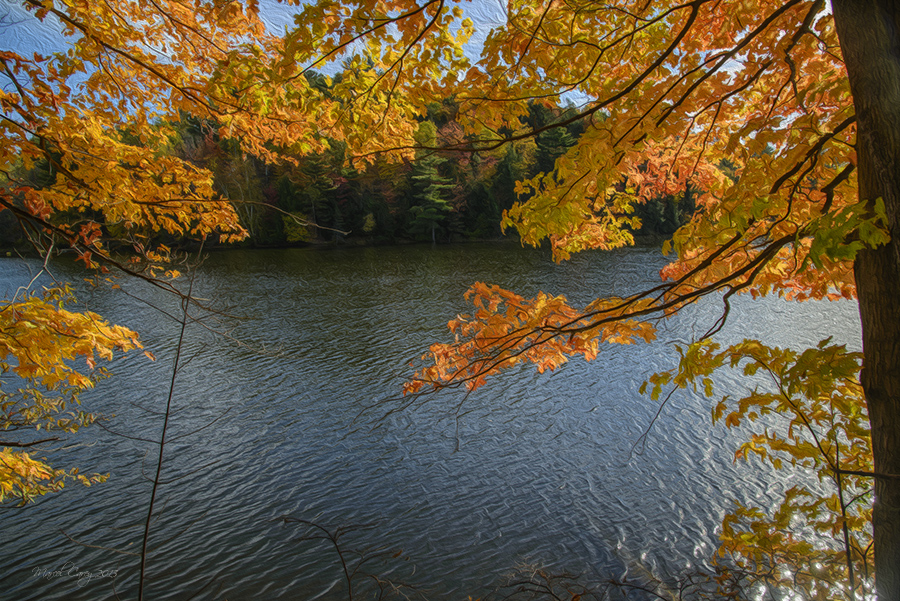 Fall by the river.jpg
