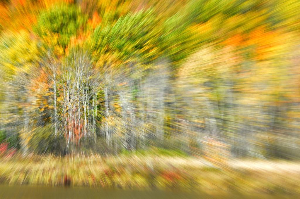 fall colors.jpg