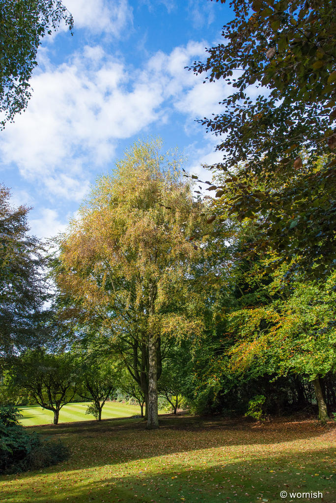 Fall Colours 2.jpg