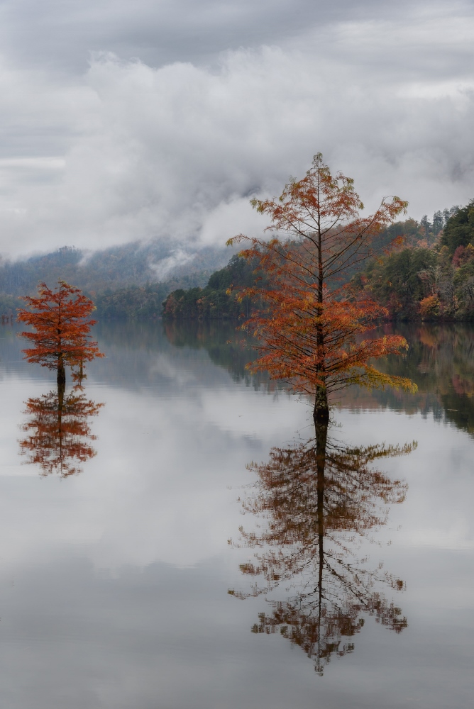 Fall In The Mountains--2 (2) (668x1000).jpg