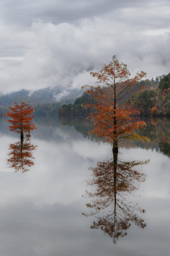 Fall In The Mountains--3.jpg