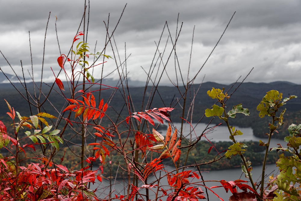 Fall In The Mountains--4.jpg