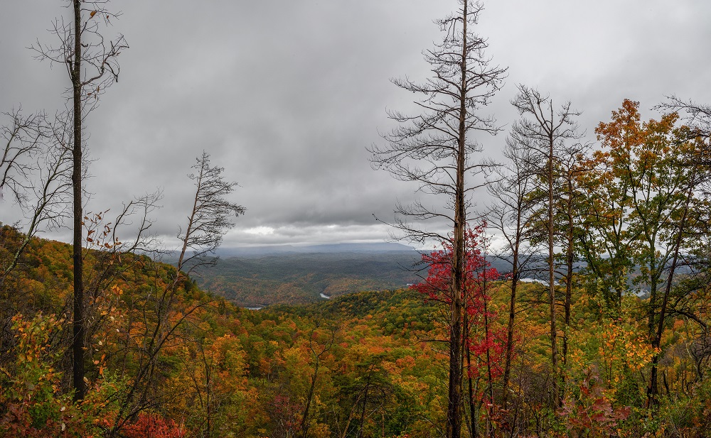 Fall In The Mountains-.jpg