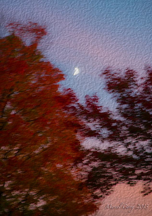 Fall moonrise.jpg