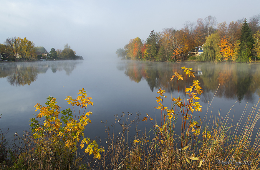 Fall morning by the river 2.jpg