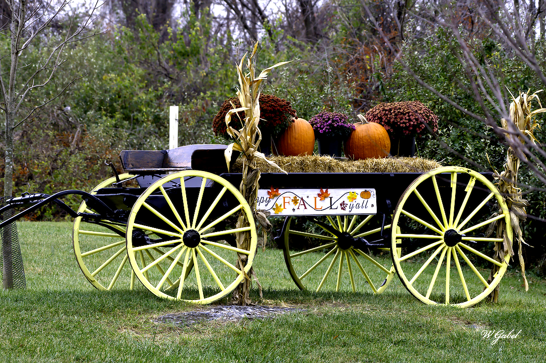 Fall Wagon sm.jpg