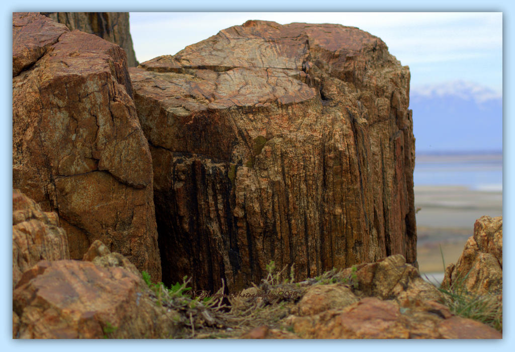 Fantastic Metamorphic Rock  3-20-2016.jpg