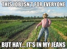 Farm+humor+not+mine+found+in+google+pics_b92e39_4695293.jpg