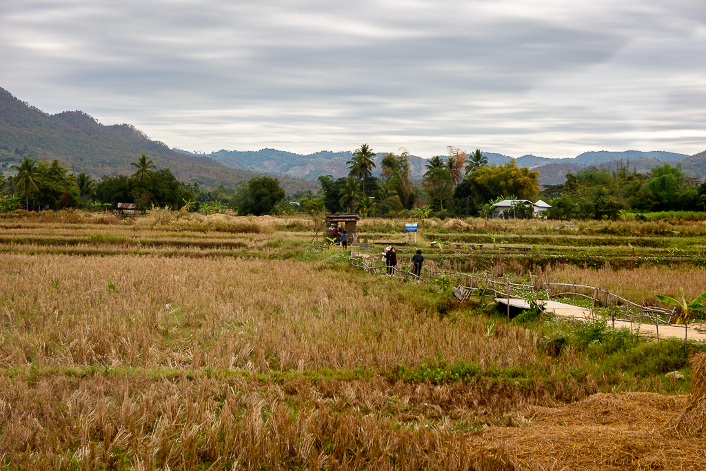 farm1-3.jpg