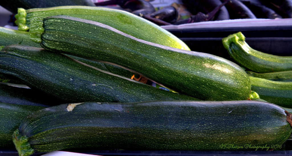 Farmerrs Market Zucchini 8-10-2016.jpg