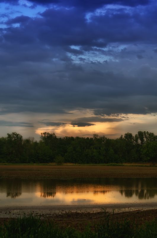 farmer's field.jpg