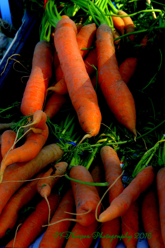 Farmers Market Carrots 8-10-2016.jpg