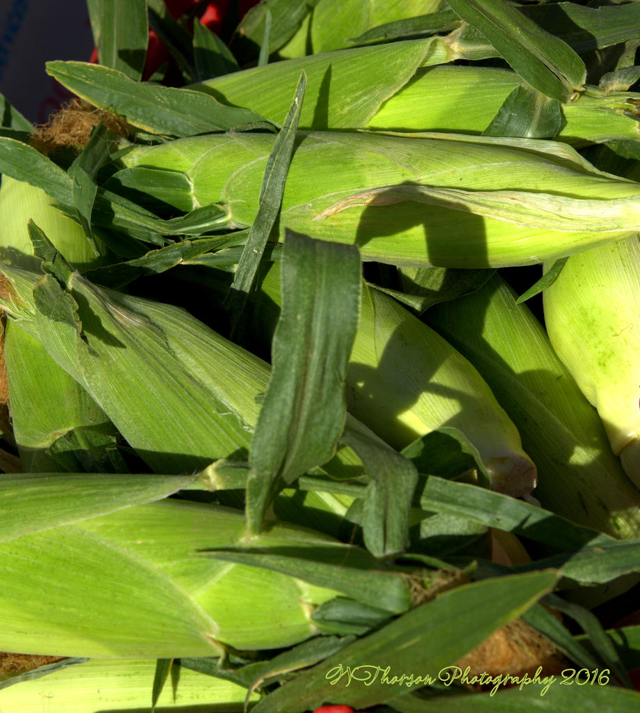 Farmers Market Corn 8-10-2016.jpg