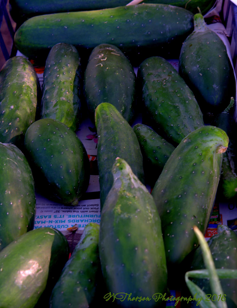 Farmers Market Cucumbers 8-10-2016.jpg