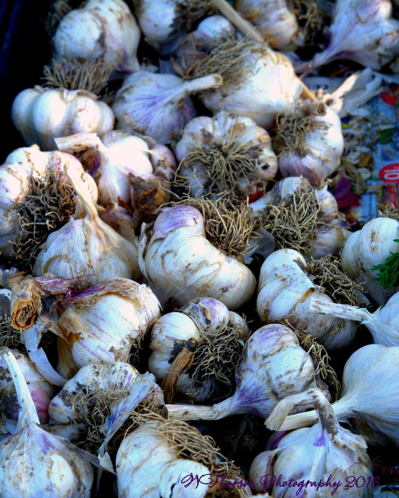Farmers Market Garlic 8-10-2016.jpg