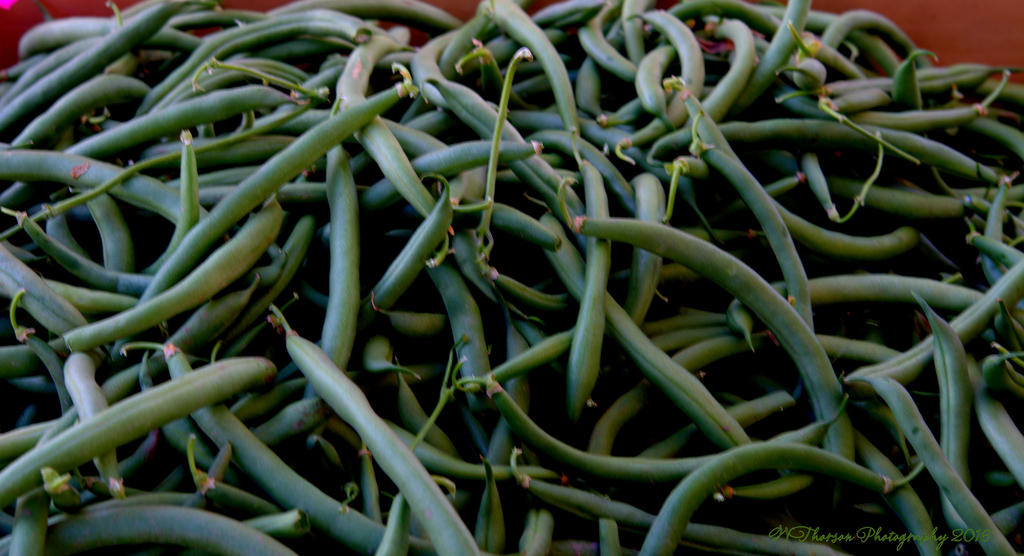 Farmers Market Green Beans 8-10-2016.jpg