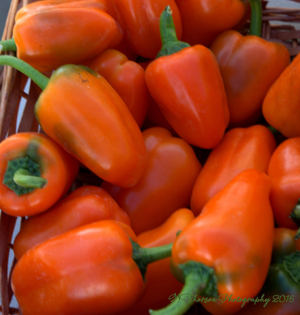 Farmers Market Orange Peppers 8-10-2016.jpg