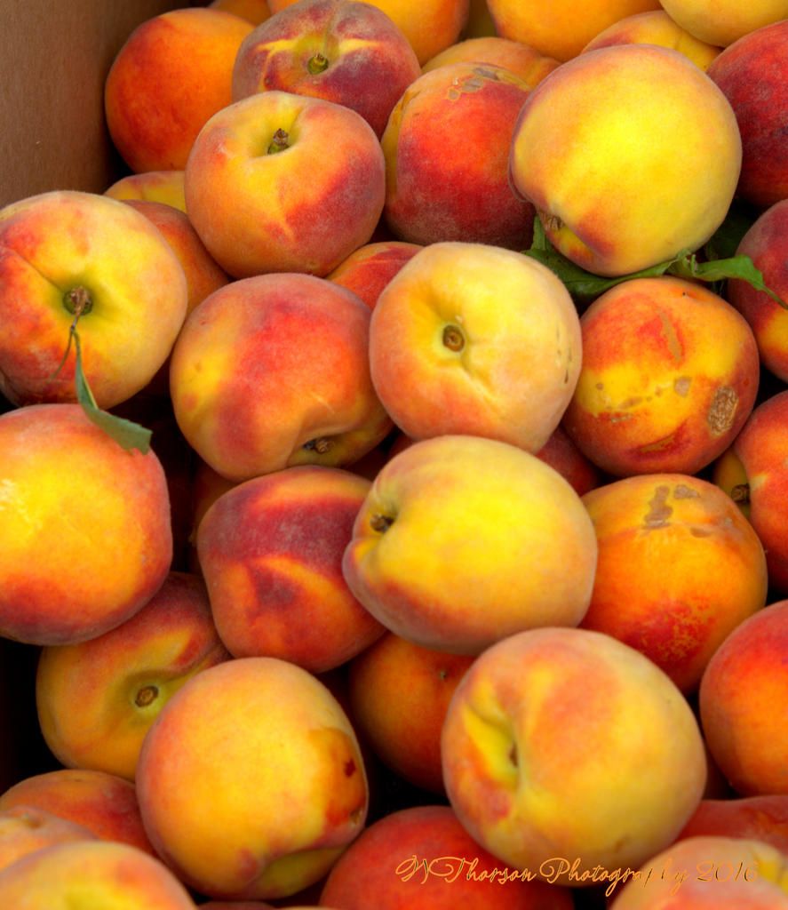 Farmers Market Peaches 8-10-2016.jpg