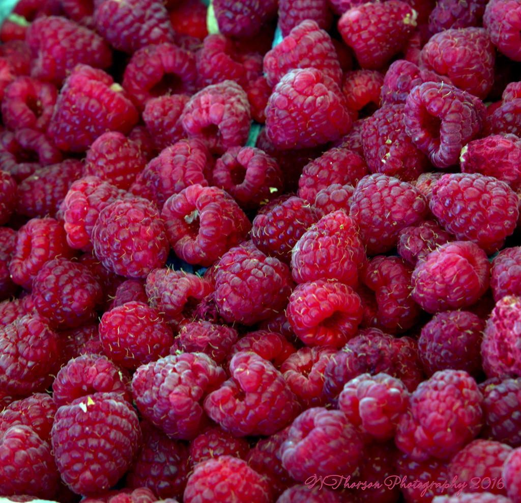 Farmers Market Raspberries 8-10-2016.jpg