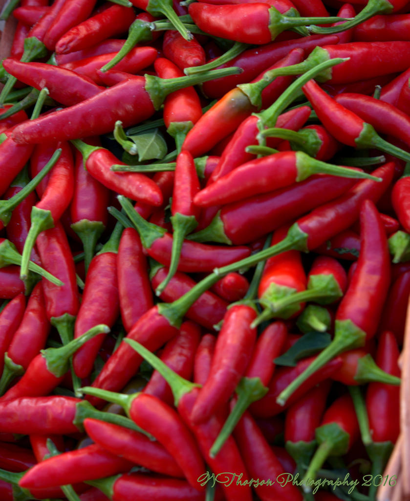 Farmers Market Red Peppers 8-10-2016.jpg