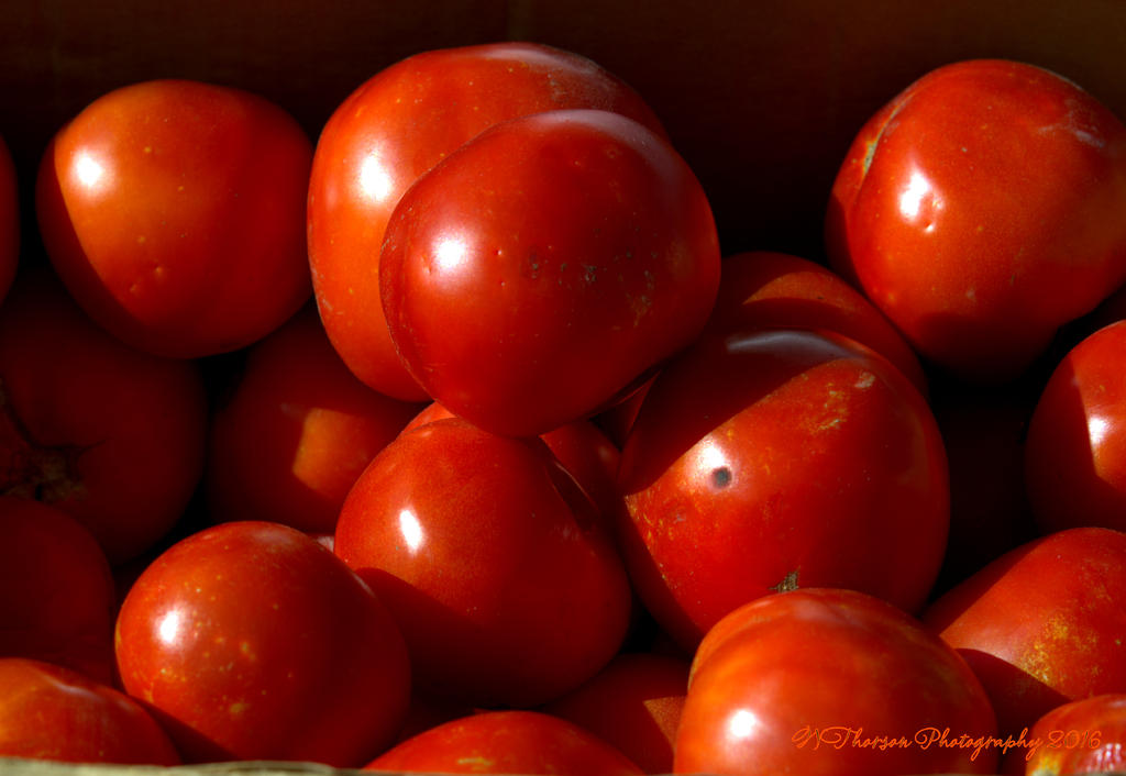 Farmers Market Tomatoes 8-10-2016.jpg