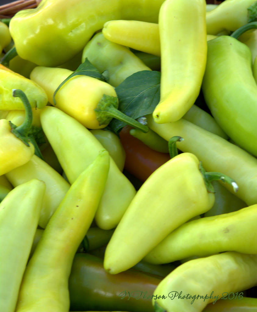 Farmers Market Yellow Peppers 8-10-2016.jpg