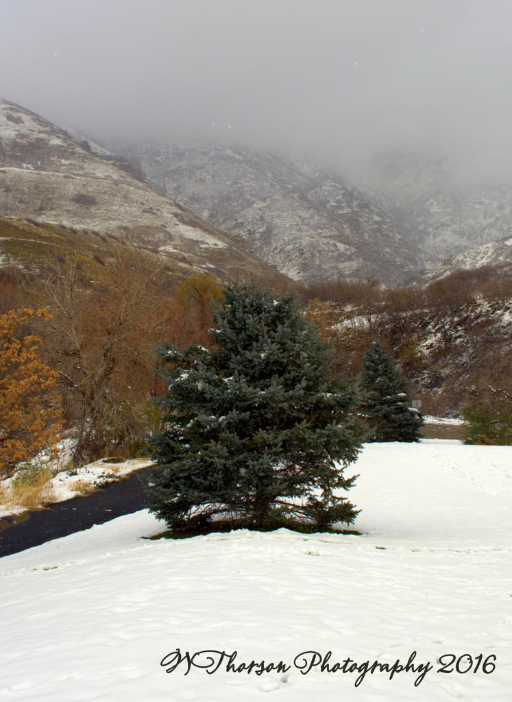 Farmington Canyon 12-1-2016.jpg