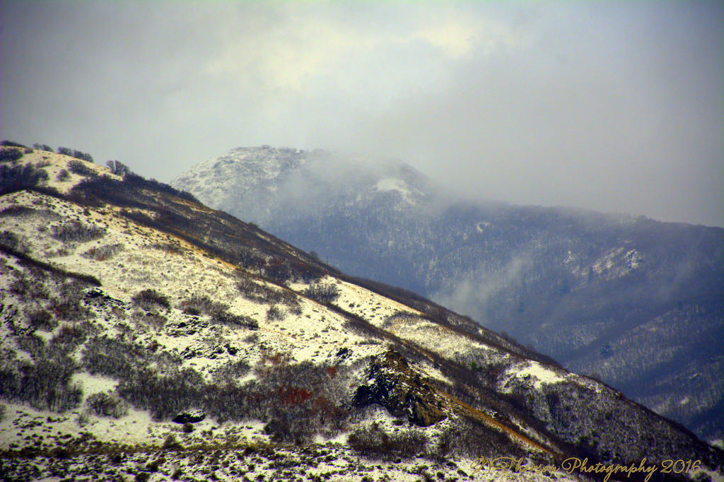 Farmington Canyon #2 12-1-2016.jpg