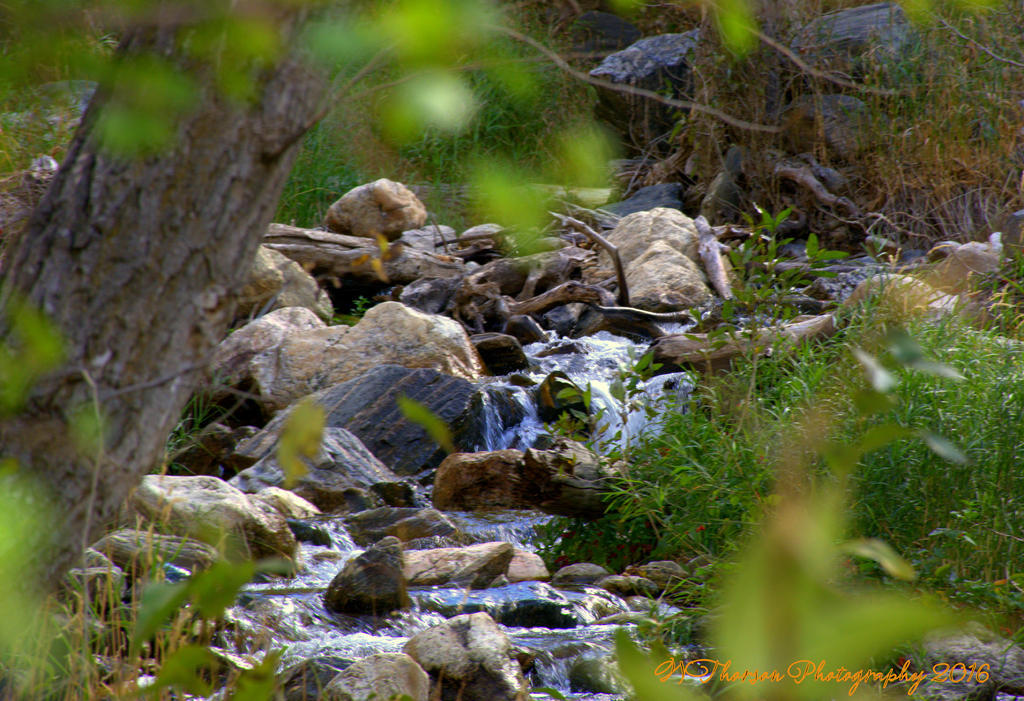 Farmington Creek 10-6-2016.jpg