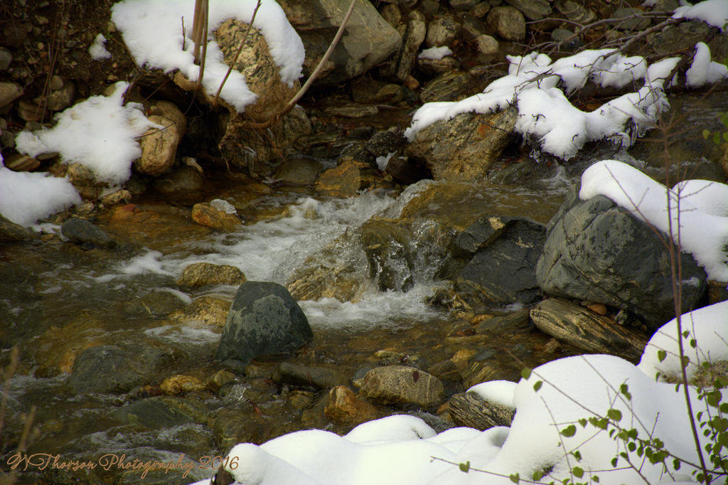 Farmington Creek 12-1-2016.jpg