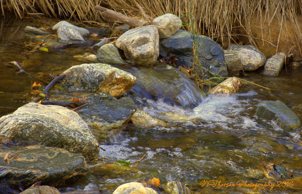 Farmington Creek #2 10-6-2016.jpg