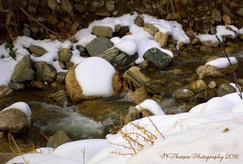 Farmington Creek #2 12-1-2016.jpg