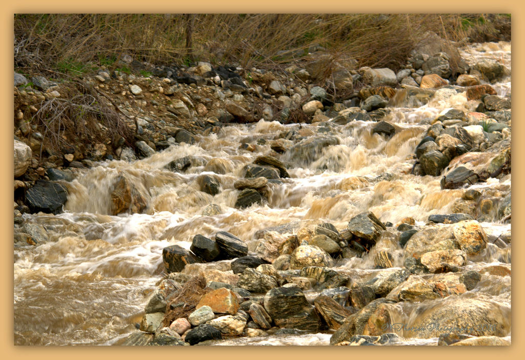 Farmington Creek  #2 4-9-2016.jpg