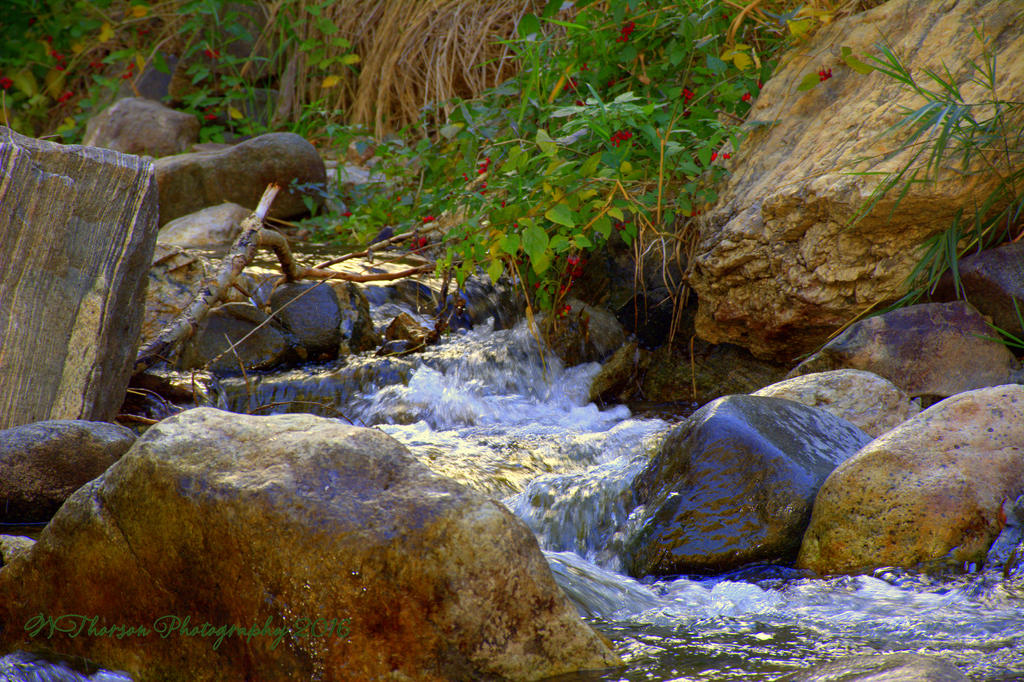 Farmington Creek #4 10-6-2016.jpg