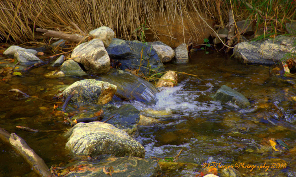 Farmington Creek #5 10-6-2016.jpg