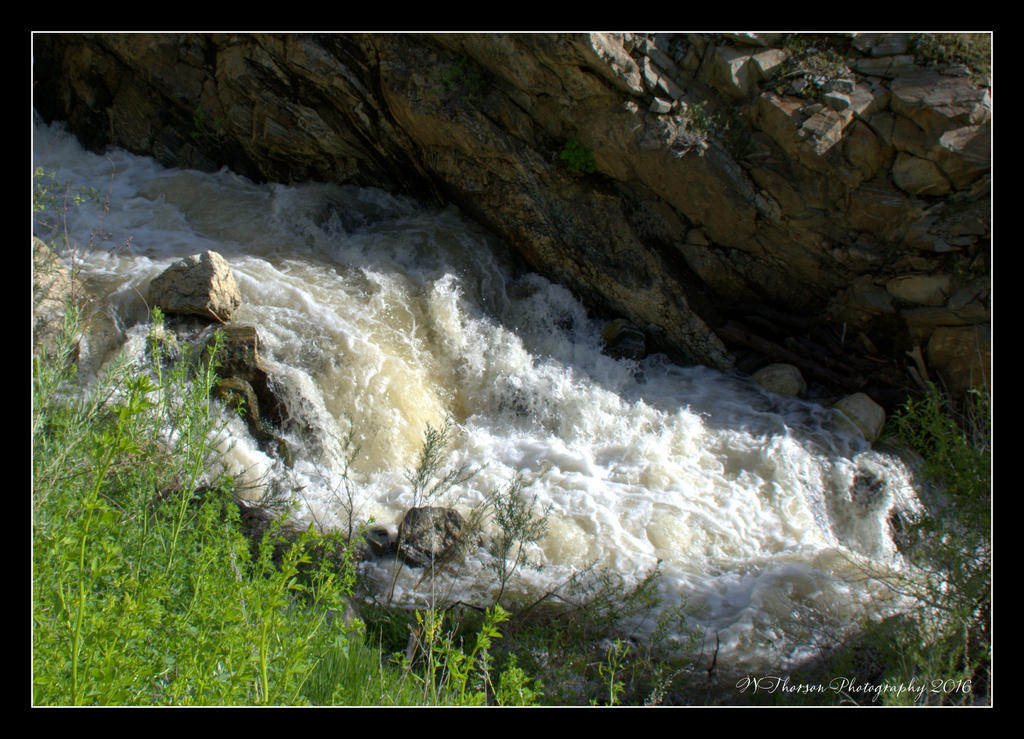 Farmington Creek 5-21-2016.jpg