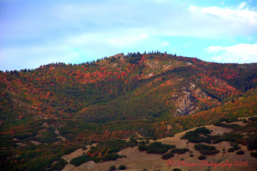 Farmington Mountains  9-11-2016.jpg