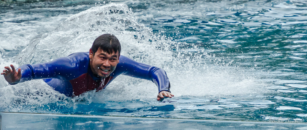 fast-swimming-1.jpg