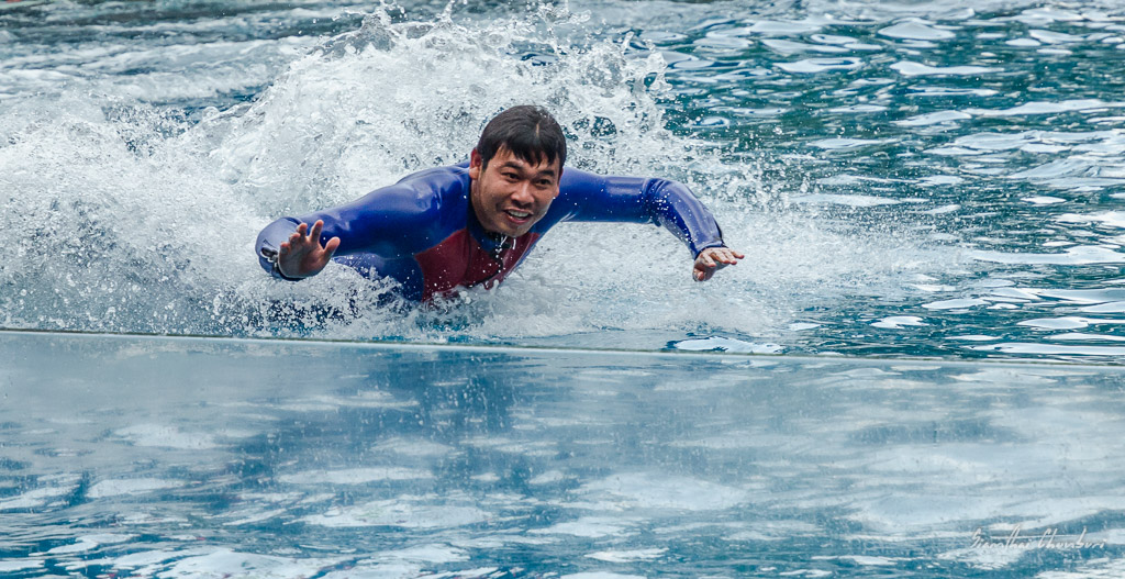 fast-swimming-2.jpg