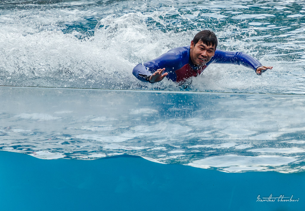 fast-swimming-3.jpg