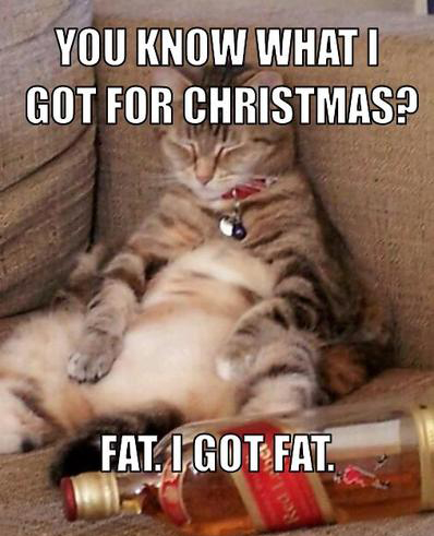 fat-cat-after-christmas.jpg