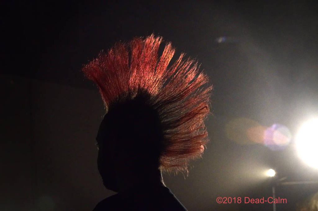 fb mohawk 3 500_5205.jpg